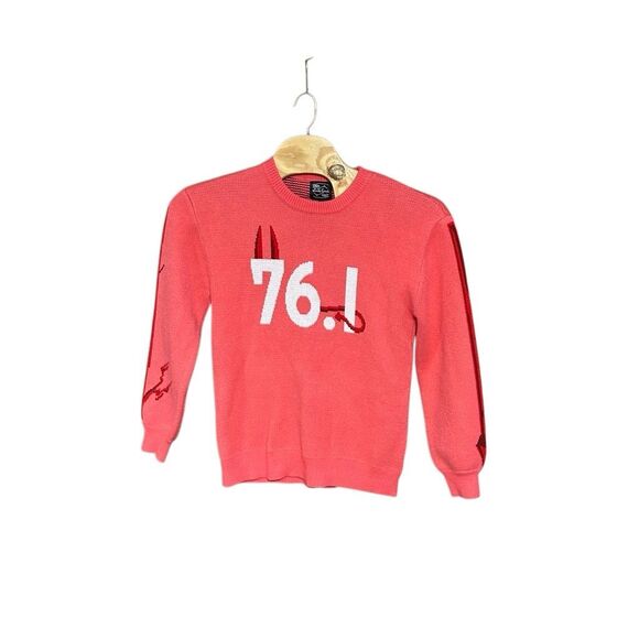 Steady Hands Small/Medium 76.1 Power Anime Pink Sweater - Picture 1 of 5